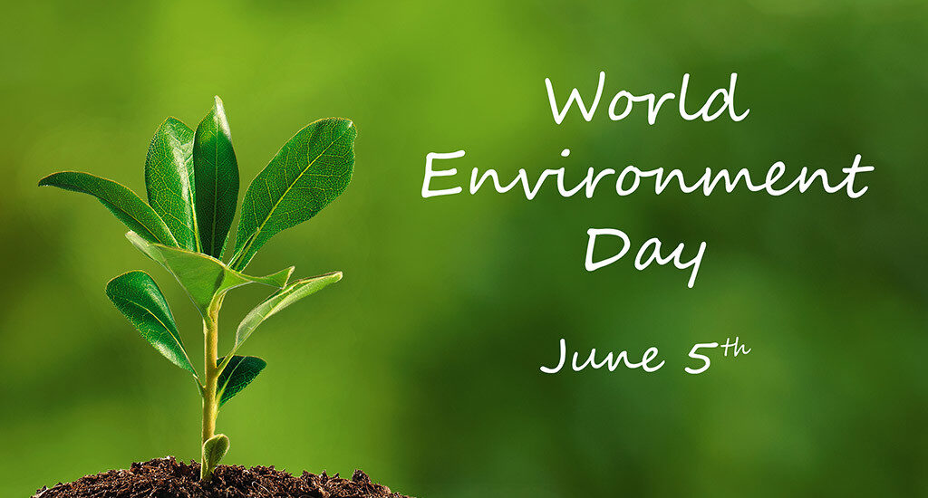 Our students at Cambridge School recently completed a fantastic Environment Day celebration!