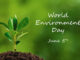 Our students at Cambridge School recently completed a fantastic Environment Day celebration!